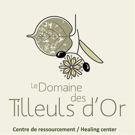 Domaine Des Tilleuls D'Or Saint-Cézaire-sur-Siagne 외부 사진