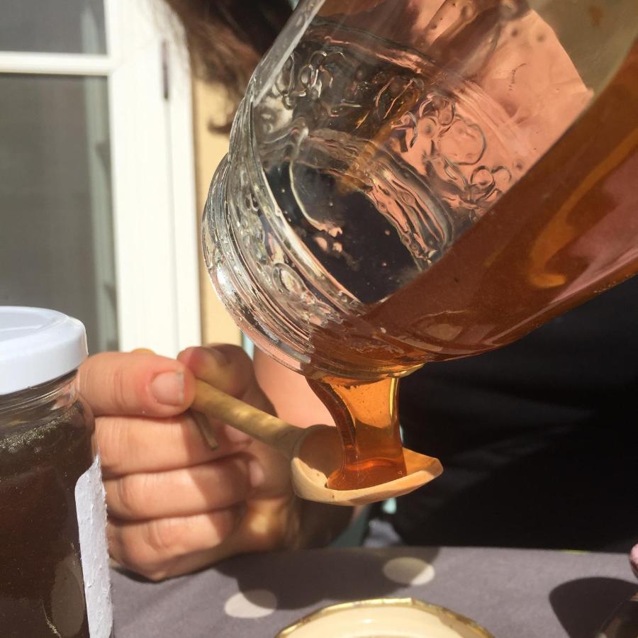 Domaine Des Tilleuls D'Or Saint-Cézaire-sur-Siagne 외부 사진