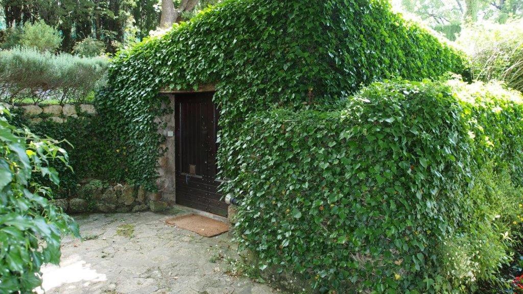 Domaine Des Tilleuls D'Or Saint-Cézaire-sur-Siagne 외부 사진